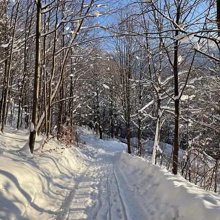 Kurort Kozubnik - Taras Nad Potokiem Apartman *