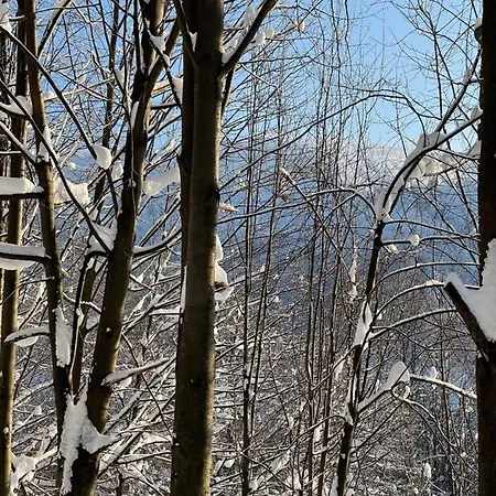 Kurort Kozubnik - Taras Nad Potokiem Porabka