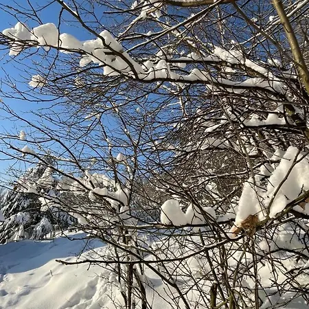 Kurort Kozubnik - Taras Nad Potokiem Apartman *