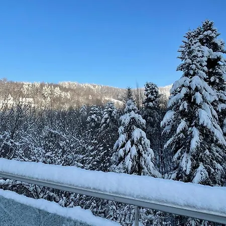 Kurort Kozubnik - Taras Nad Potokiem Apartman