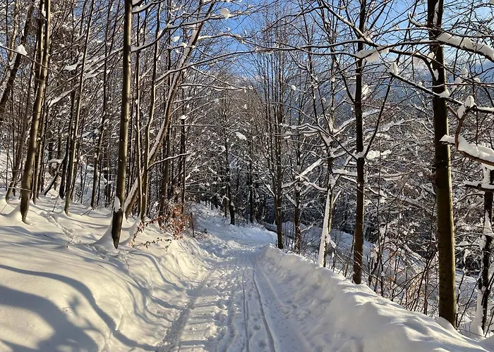 Kurort Kozubnik - Taras Nad Potokiem Appartement *