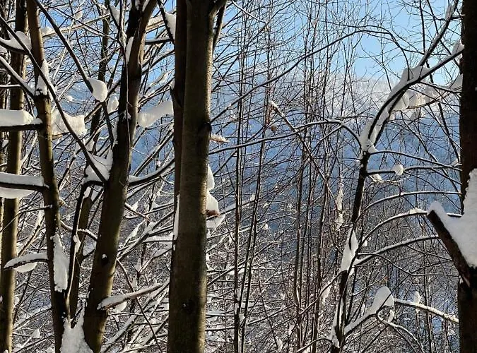 Kurort Kozubnik - Taras Nad Potokiem Porąbka