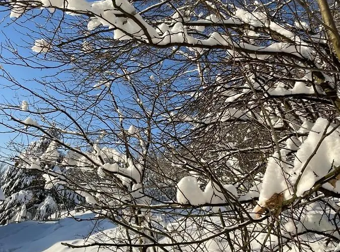 Kurort Kozubnik - Taras Nad Potokiem شقة *