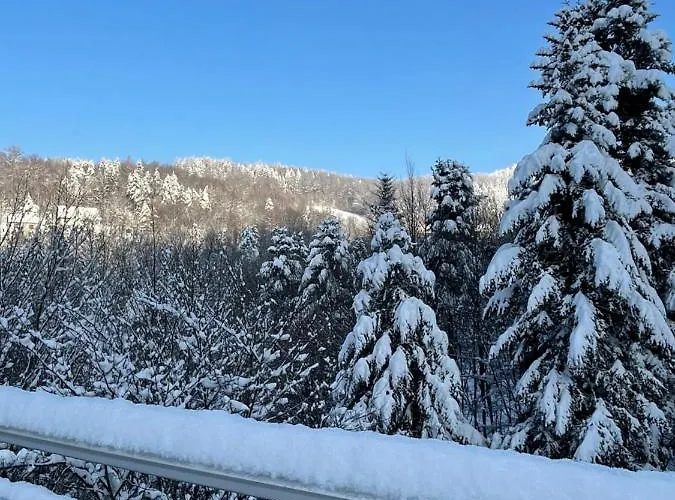 Kurort Kozubnik - Taras Nad Potokiem Apartmán