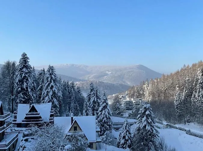 Kurort Kozubnik - Taras Nad Potokiem