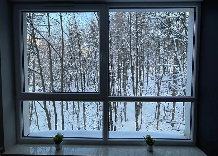 Appartement Kurort Kozubnik - Taras Nad Potokiem *