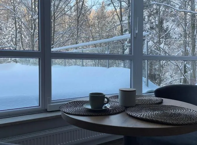 Apartmán Kurort Kozubnik - Taras Nad Potokiem Porąbka